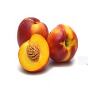 kg شهدية