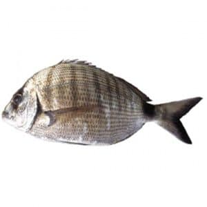 شرغو 500g