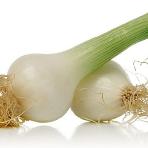 kg بصل أبيض (خضارية)