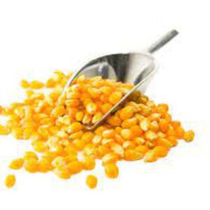 الذرة 500g
